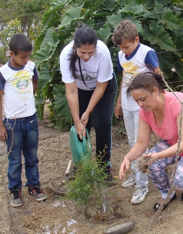 Memórias de Atividades da ONG Verde