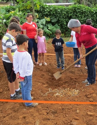 Memórias de Atividades da ONG Verde