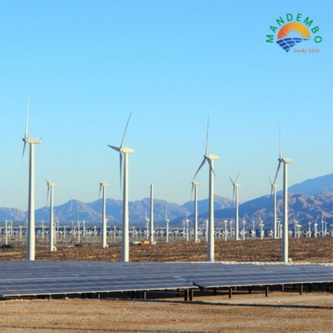 Energia para Cultivar a Vida: Agroecologia e o Papel Estratégico das Energias Renováveis