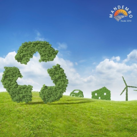 Energia para Cultivar a Vida: Agroecologia e o Papel Estratégico das Energias Renováveis