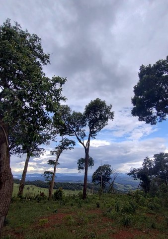 Mirante educativo – solar e lunar – com diversas informações e objetos interativos (rosa dos ventos, sol, lua, planetas, constelações, catálogos, telescópio etc.) que apresentam e valorizam a biodiversidade terrestre do Bioma Mata Atlântica.