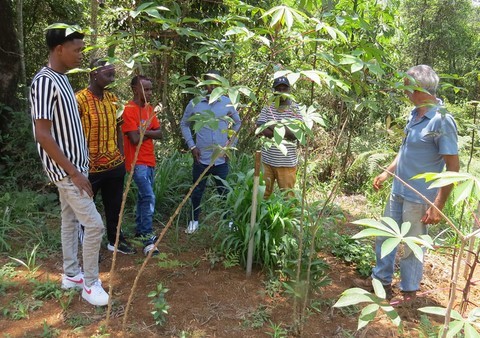 Parceria entre a ONG Verde e AJAGB - Projeto AMUTAKU