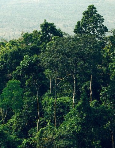 Agir JUNTOS contra o superaquecimento do planeta Terra!