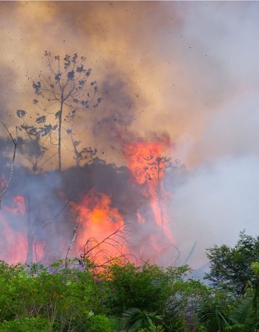 Agir JUNTOS contra o superaquecimento do planeta Terra!