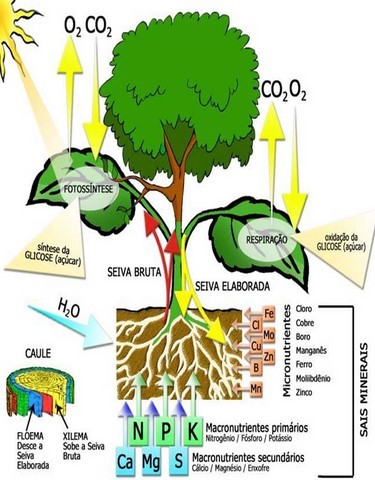 Agir JUNTOS contra o superaquecimento do planeta Terra!