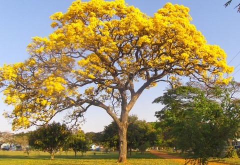 Agir JUNTOS contra o superaquecimento do planeta Terra!