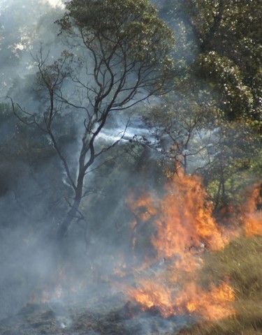 Agir JUNTOS contra o superaquecimento do planeta Terra!